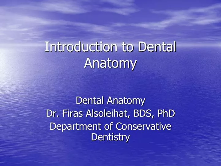 PPT - Introduction To Dental Anatomy PowerPoint Presentation, Free ...