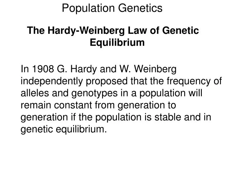 population genetics n.