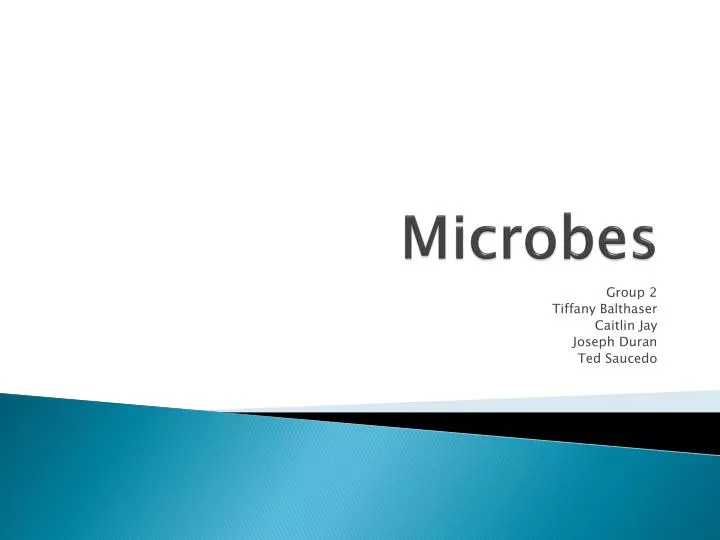 PPT - Microbes PowerPoint Presentation, free download - ID:5729549