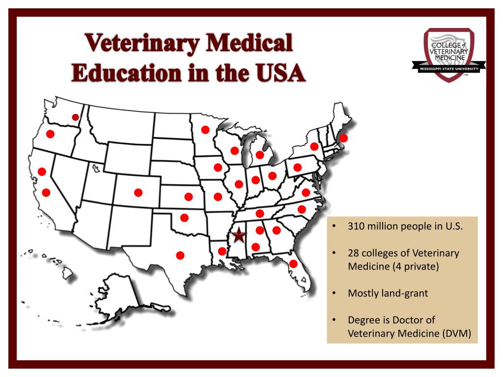 PPT Margaret Khaitsa PowerPoint Presentation Free Download ID 5730337 Veterinary Medical Education In The Usa L