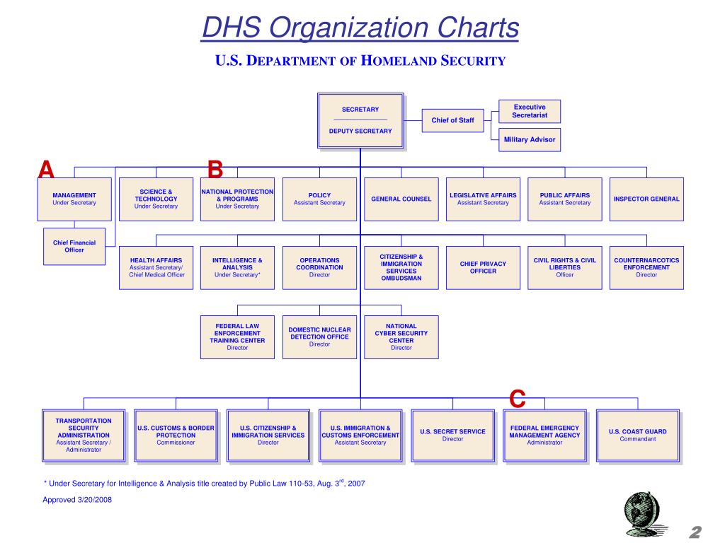 PPT - DHO Organizational Chart PowerPoint Presentation, free ...