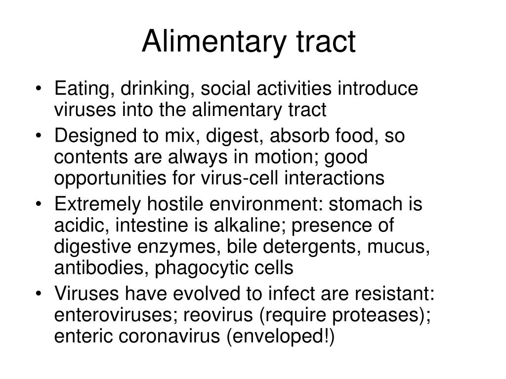 PPT - Viral Pathogenesis PowerPoint Presentation, free download - ID