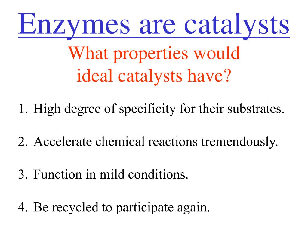 PPT Properties of Enzymes PowerPoint Presentation, free
