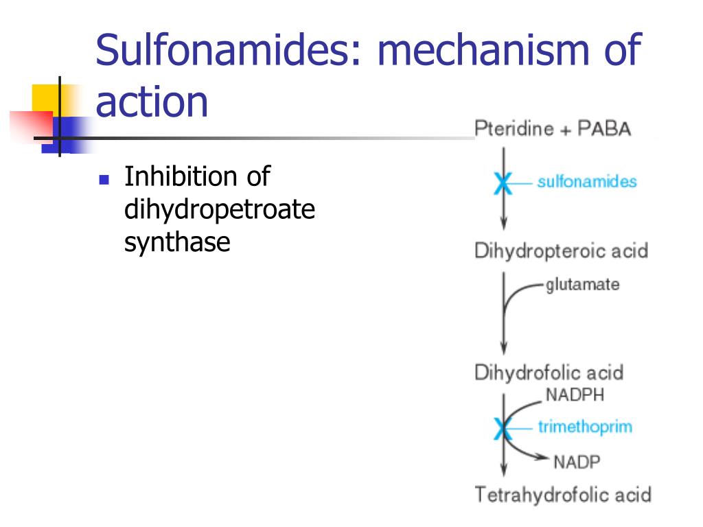 Sulfonamides Mechanism Of Action