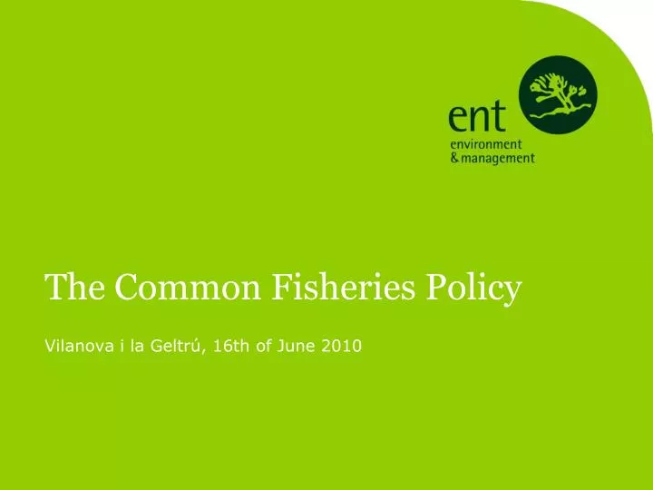 the common fisheries policy n.