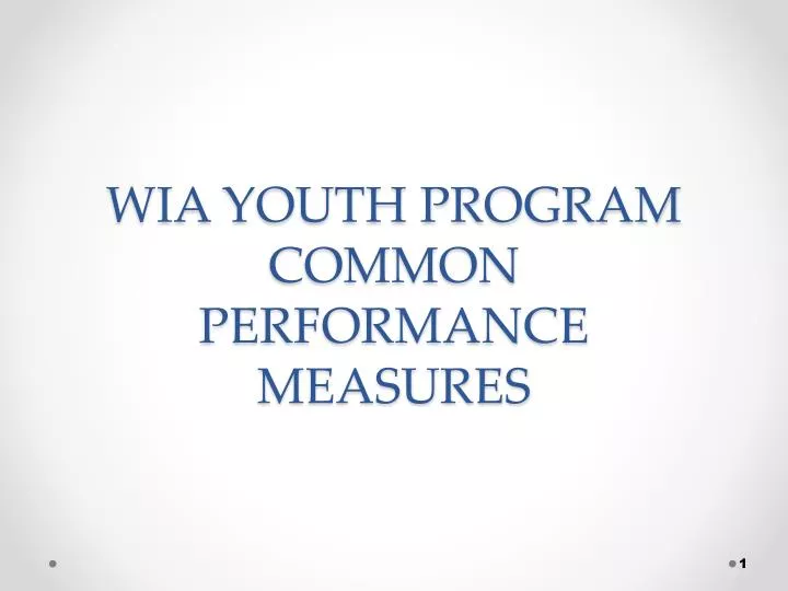 wia youth program common performance measures n.