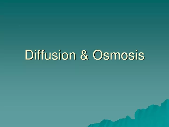 PPT - Diffusion & Osmosis PowerPoint Presentation, free download -  ID:5732838