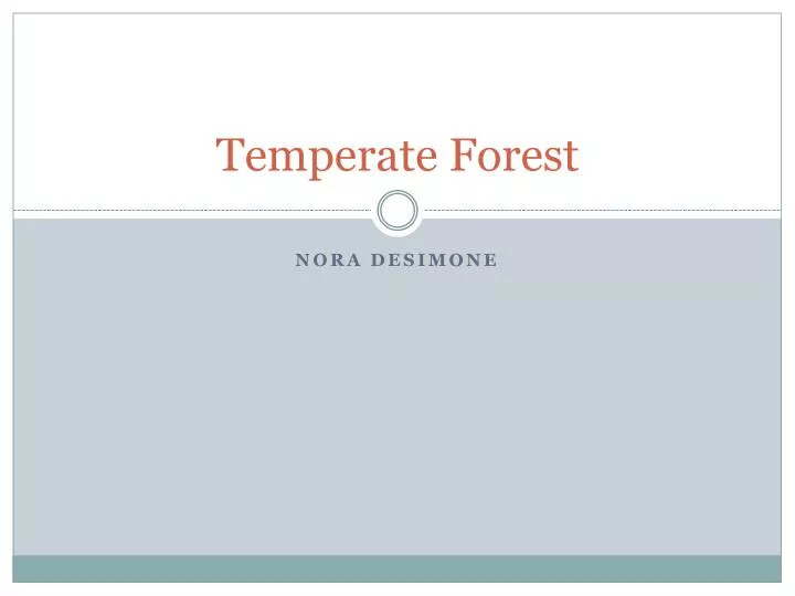 temperate forest n.