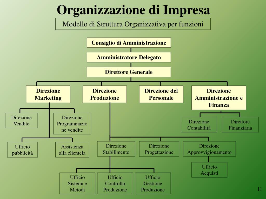 Match organization. Organizational structure of the Company. Functional Organization structure. Functional Organizational structure. Company Organization.