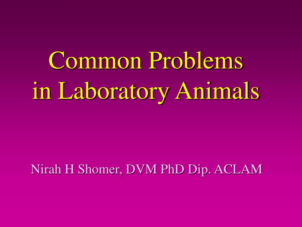 PPT - Common Problems in Laboratory Animals PowerPoint Presentation, free  download - ID:5733552