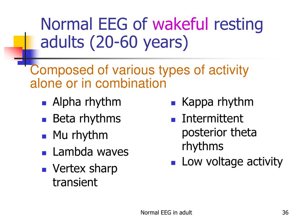 PPT - Normal EEG in adult PowerPoint Presentation, free download -  ID:5733583