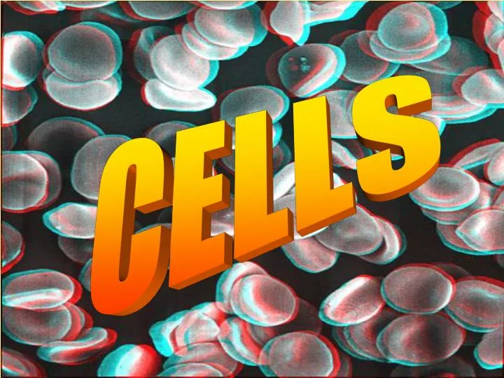 ppt-cells-powerpoint-presentation-free-download-id-5735820