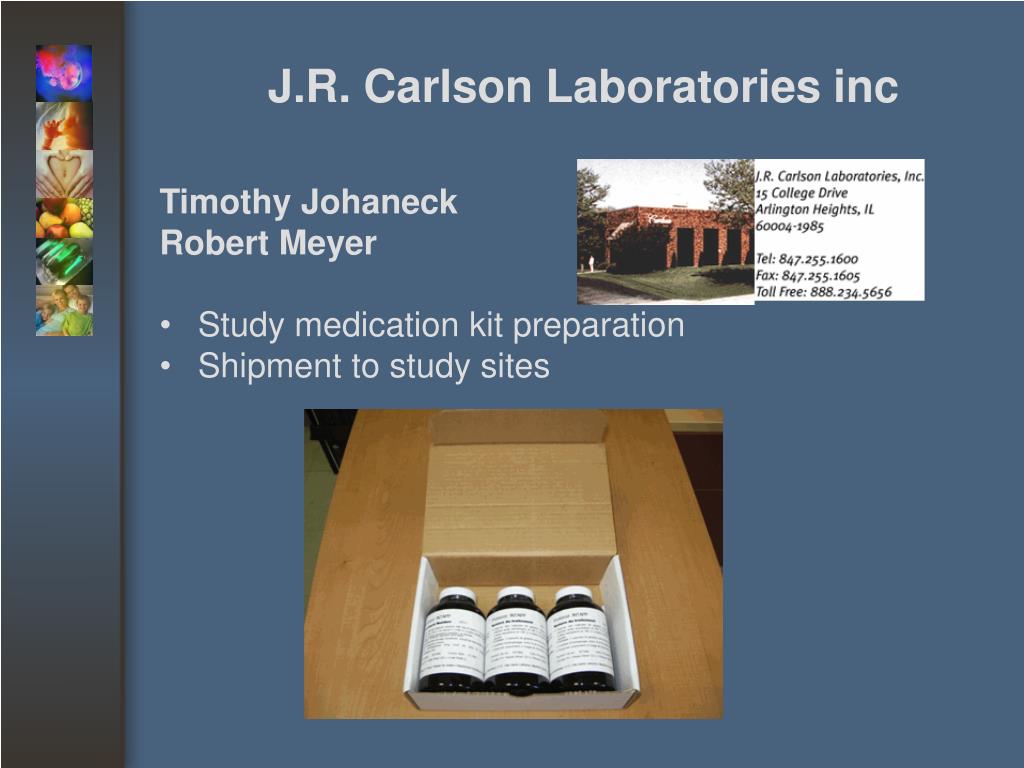 PPT STIRRHS Seminar on Transdisciplinarity PowerPoint Presentation