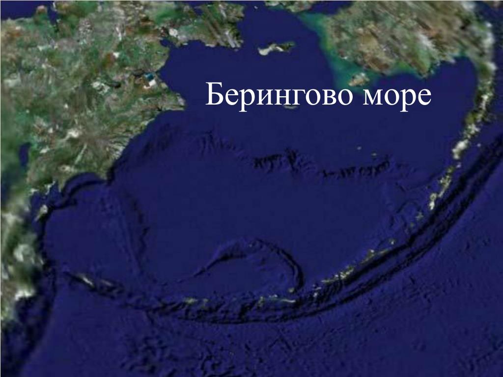 Максимальная глубина берингово. Берингово море бассейн океана. Берингово море на карте. Максимальная глубина Берингова моря. Макс глубина Берингова моря.