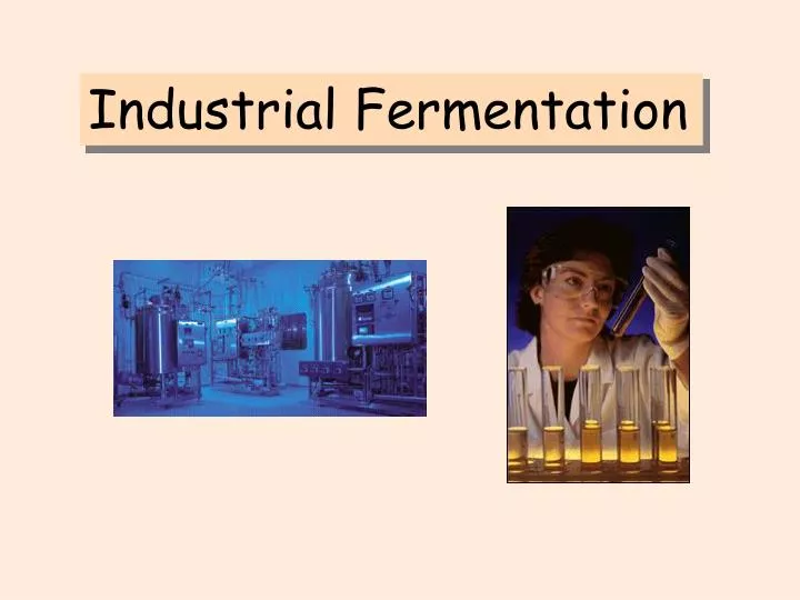 PPT - Industrial Fermentation PowerPoint Presentation, free download - ID:5736485