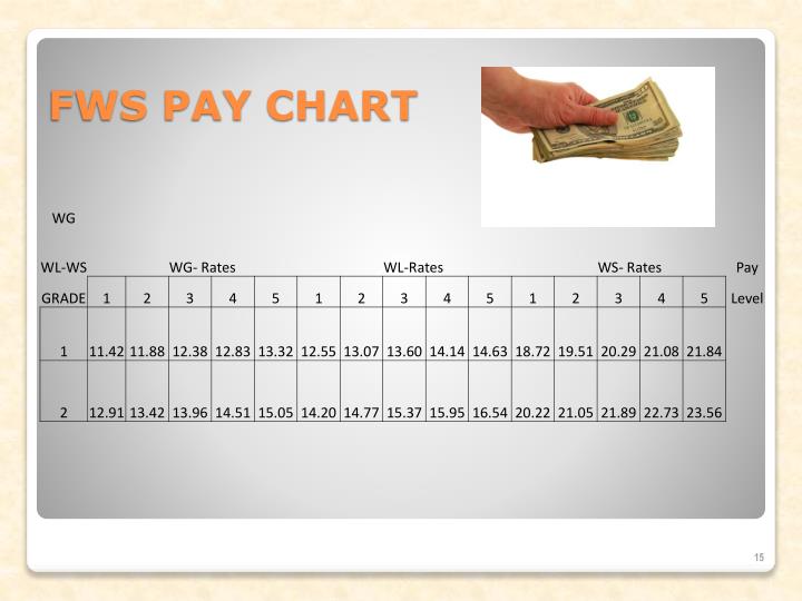 PPT Recruitment and Placement and Pay Administrations PowerPoint
