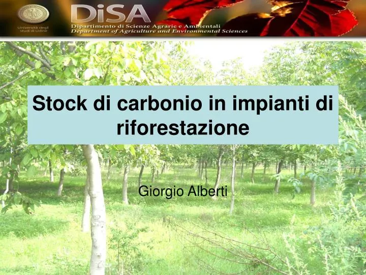 stock di carbonio in impianti di riforestazione n.