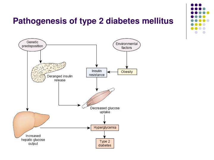 the root cause of diabetes mellitus and its treatment The real cause of diabetes root cause of type 2 diabetes mellitus,we offer products that help you solve your health problems⭐️⭐️⭐️⭐️⭐️ help today. the root cause of diabetes mellitus and its treatment The real cause of diabetes root cause of type 2 diabetes mellitus,we offer products that help you solve your health problems⭐️⭐️⭐️⭐️⭐️ help today.