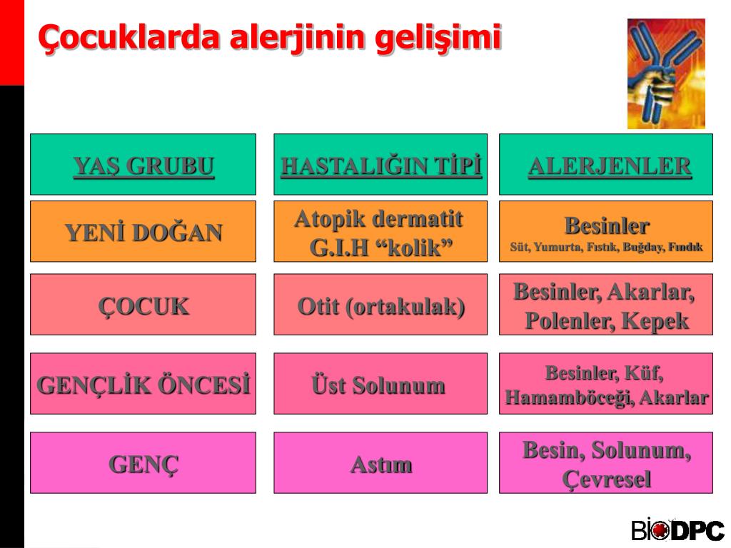 PPT IMMULITE 2000 ALERJİ PowerPoint Presentation, free