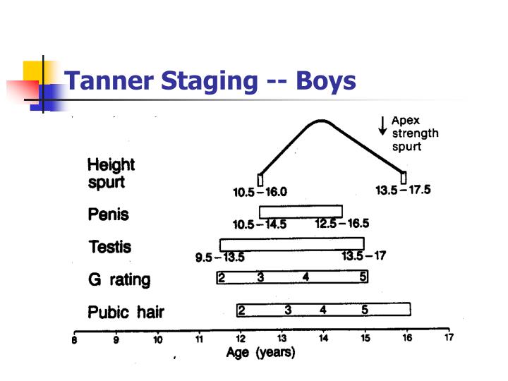 Dhea Sulfate Tanner Stages At Marcellus Meyers Blog Dhea Sulfate Tanner Stages At Marcellus Meyers Blog