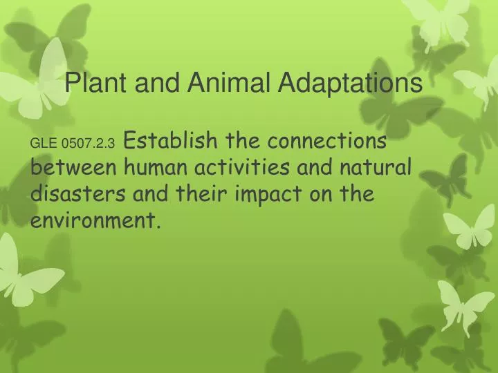 PPT - Plant and Animal Adaptations PowerPoint Presentation, free download -  ID:5738842