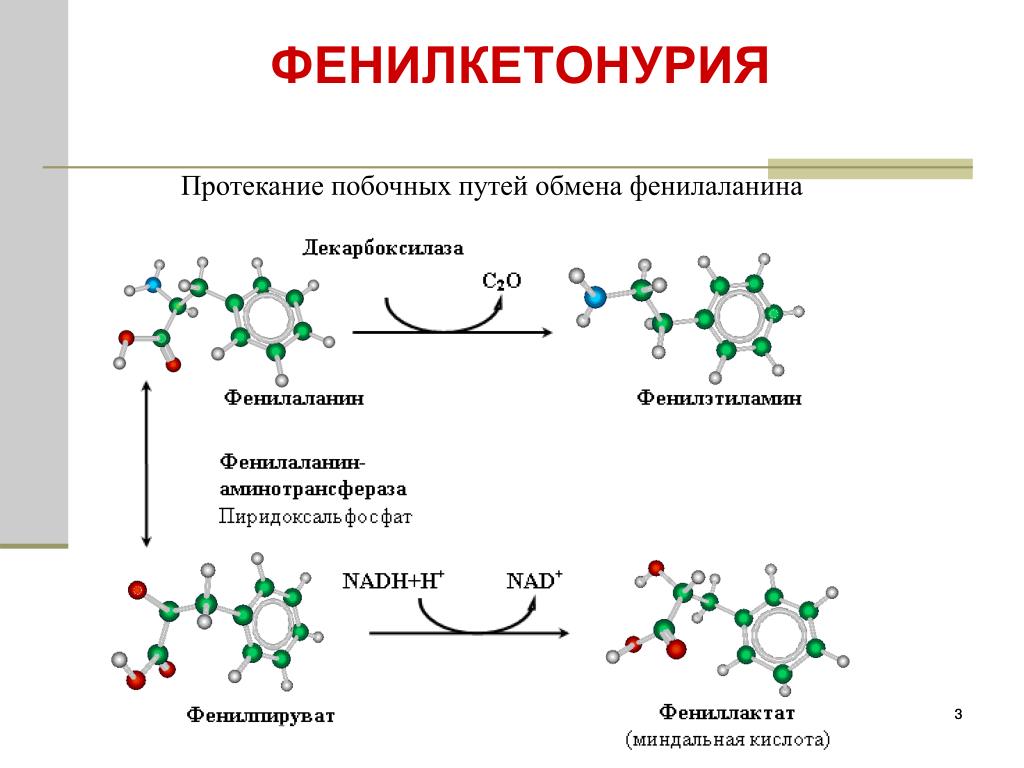 Фенилкетонурия генотип. Фенилкетонурия патогенез схема. Механизм развития фенилкетонурии схема. Причины фенилкетонурии биохимия. Фенилаланин при фенилкетонурия.