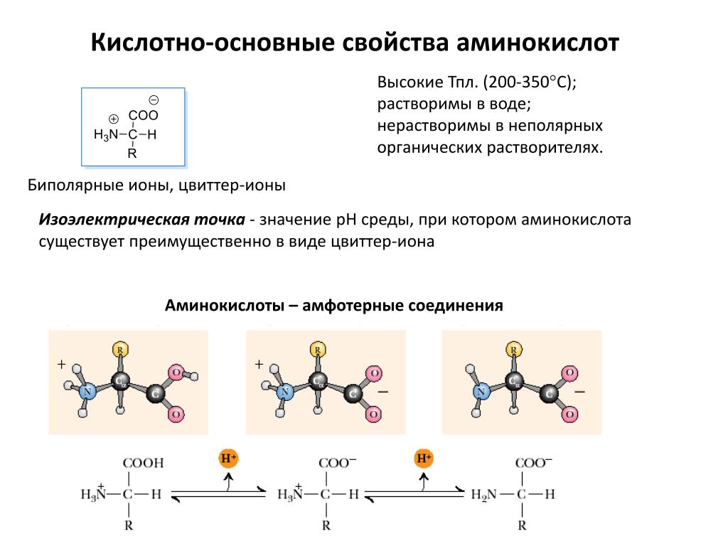 Главные аминокислоты. Химические свойства аминокислот кислотно-основные свойства. Формула биполярного Иона аминокислоты. Кислотно-основные свойства, биполярная структура.