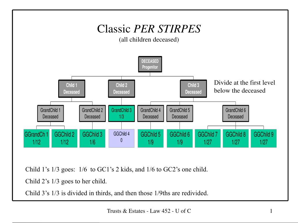 Perversion haze bush PPT - Classic PER STIRPES (all children deceased) PowerPoint Presentation -  ID:5738974