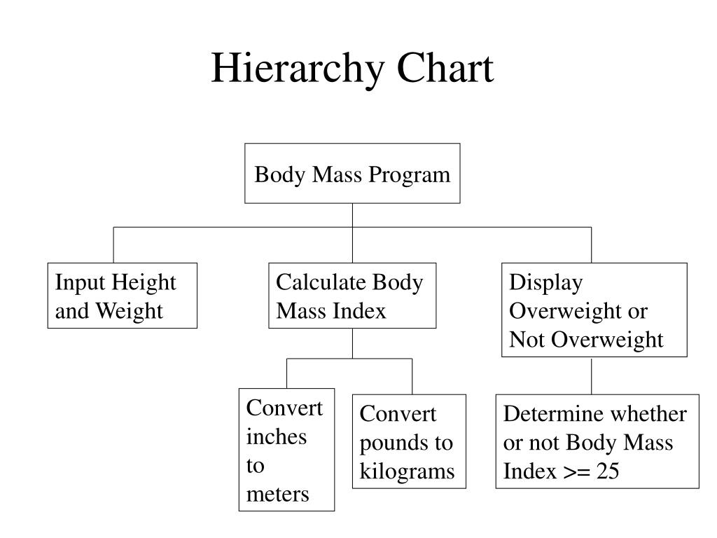Input height. Hierarchy Design Chart. Hierarchy Chart by Akvelon. Chart with Hierchy of Contracts and subcontracts. Assembly car Color Hierarchy diagram.