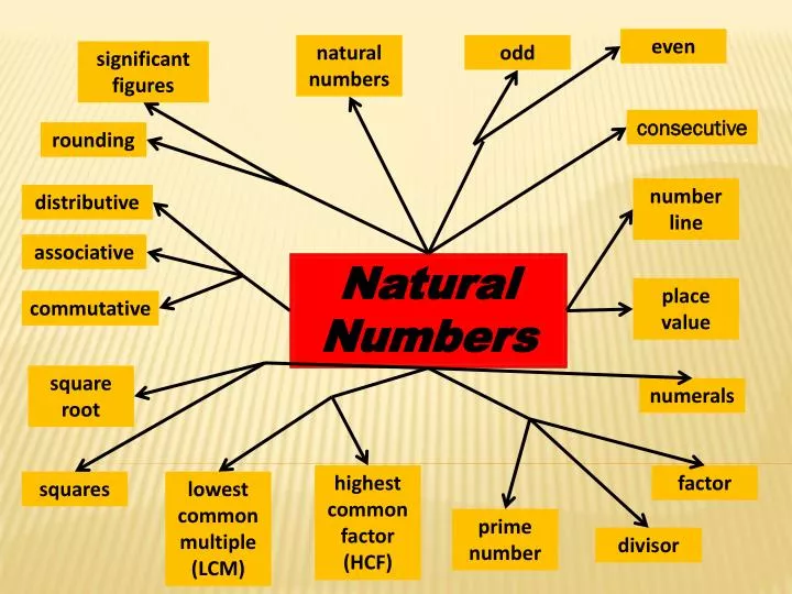 essay on natural numbers in 200 words