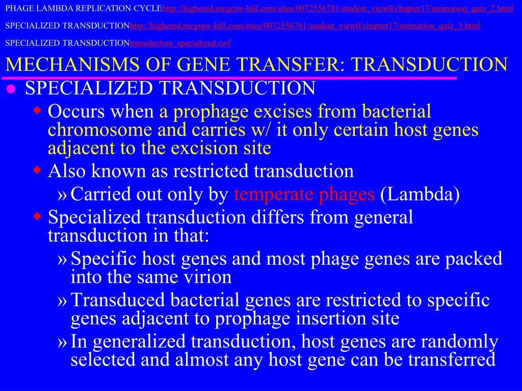 PPT - MICROBIAL GENETICS PowerPoint Presentation, free download - ID:5740970