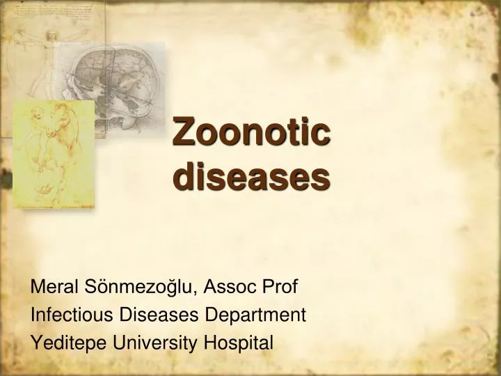 zoono tic diseases n.