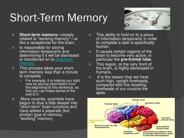 PPT Short Term And Long Term Memory PowerPoint Presentation ID PPT Short Term And Long Term Memory PowerPoint Presentation ID