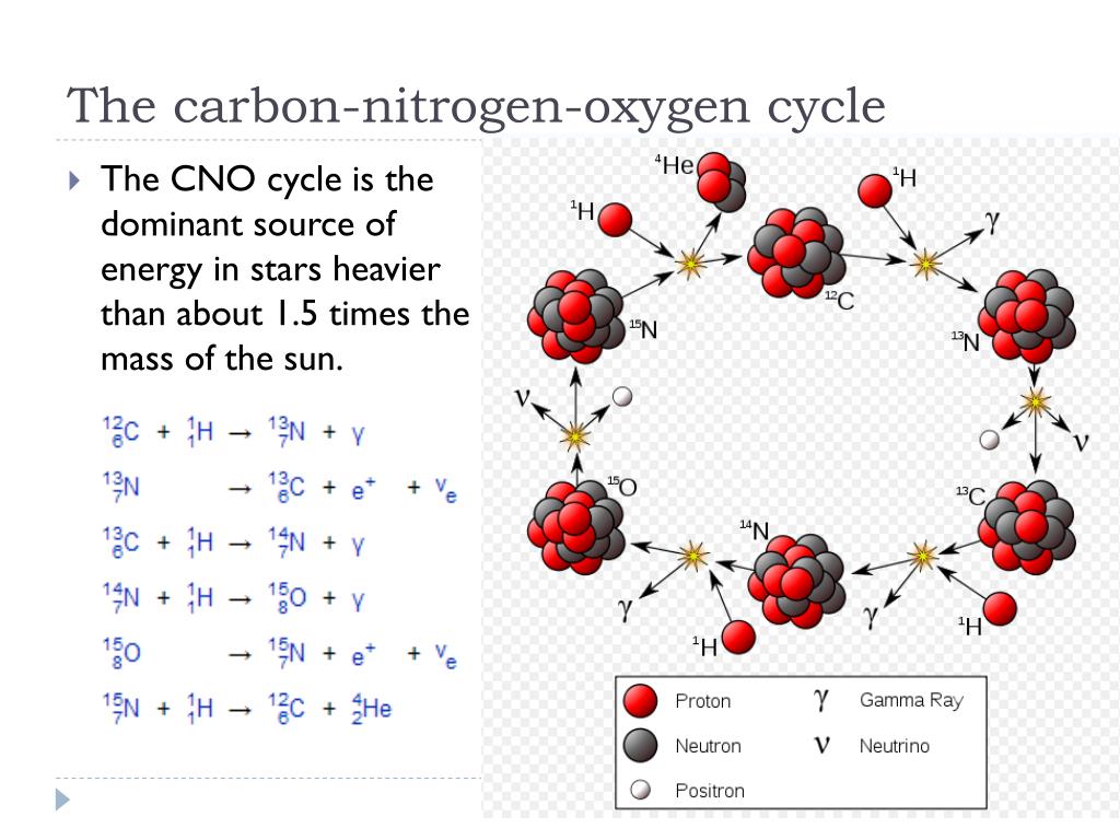 Связь углерод азот. Карбон Оксиген нитроген. Углеродно азотный цикл солнца. CNO цикл термоядерная реакция. CNO цикл в звездах.