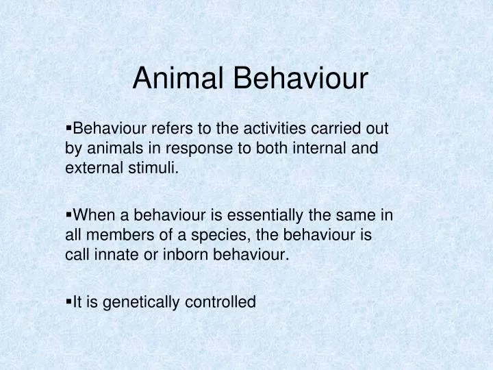PPT - Animal Behaviour PowerPoint Presentation, free download - ID:5743553