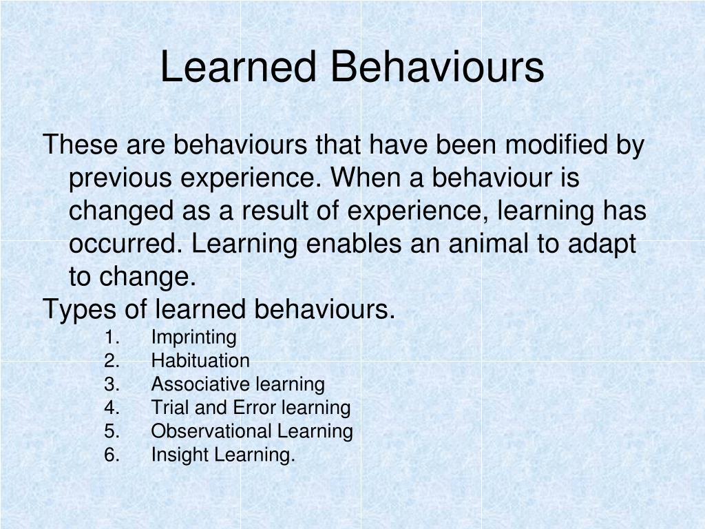 PPT - Animal Behaviour PowerPoint Presentation, free download - ID:5743553