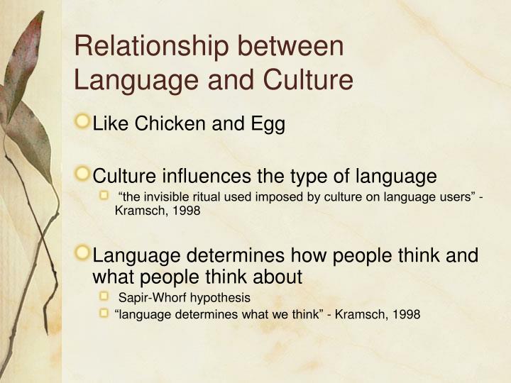 what is the relationship between language and culture essay