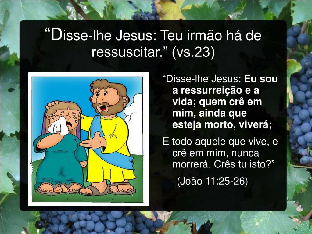 João 11:25-26 Então Jesus afirmou: — Eu sou a ressurreição e a