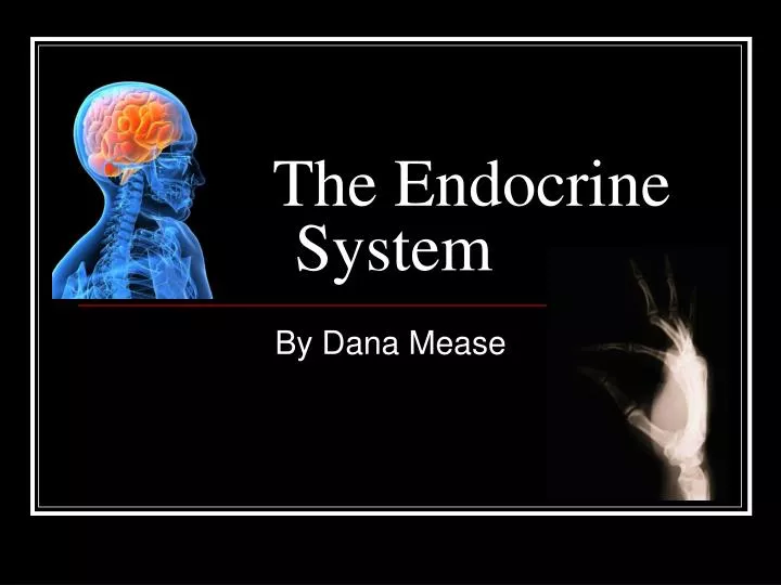 Ppt The Endocrine System Powerpoint Presentation Free Download Id 5745679