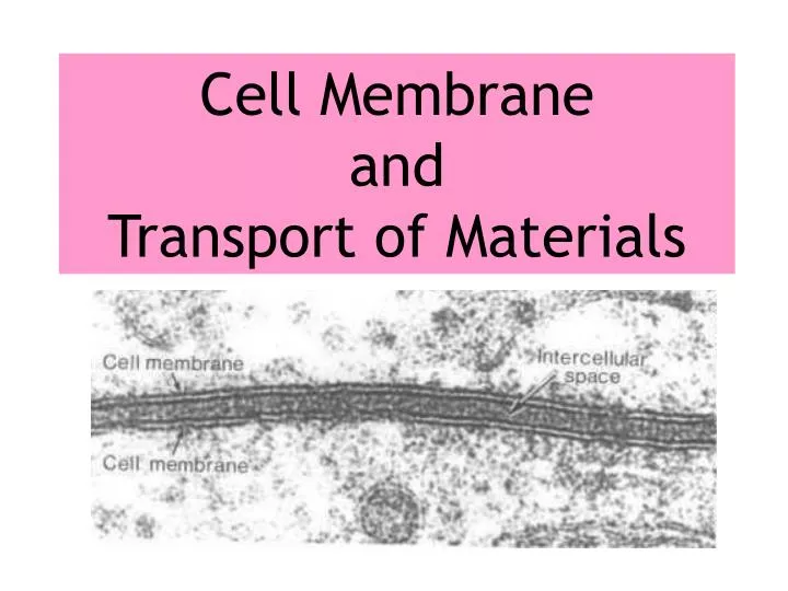 cell membrane and transport of materials n.