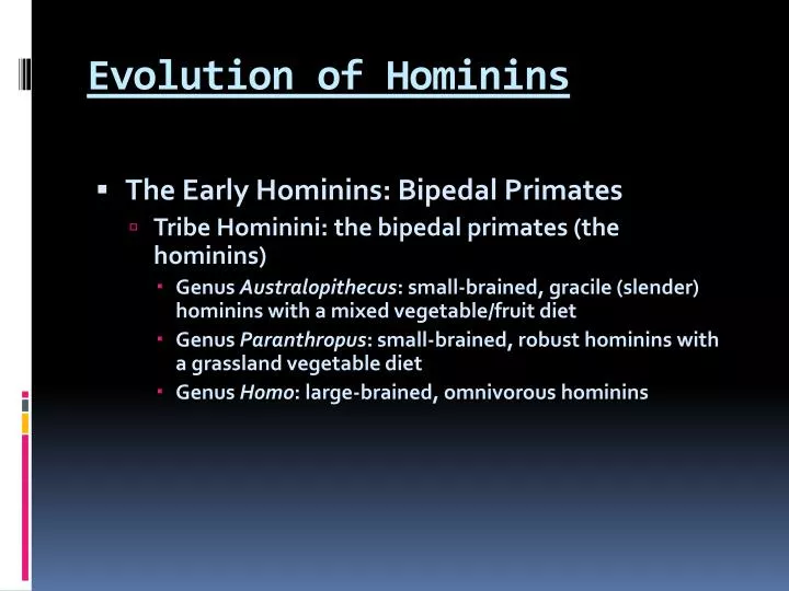 PPT - Evolution of Hominins PowerPoint Presentation, free download - ID ...