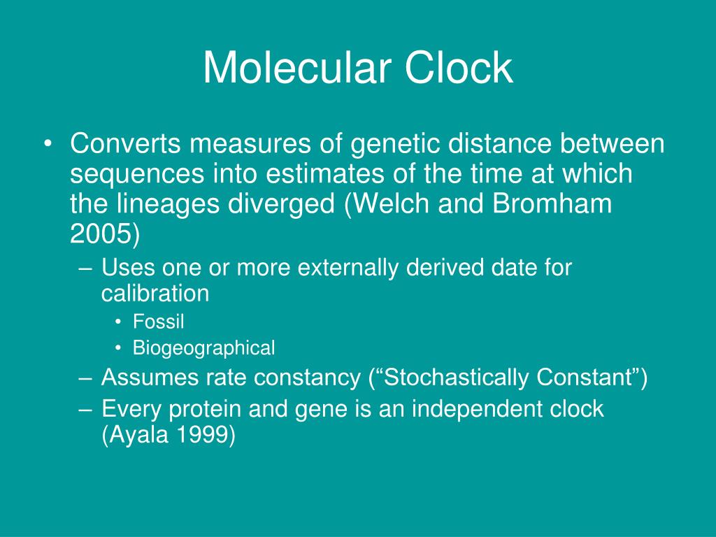 PPT - The Molecular Clock? PowerPoint Presentation, free download - ID