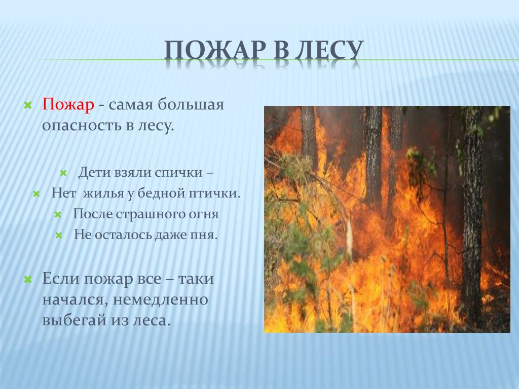Пожар окр мир. Опасности в лесу. Опасность пожара в лесу. Презентация на тему природные пожары. Лесные пожары 2 класс.