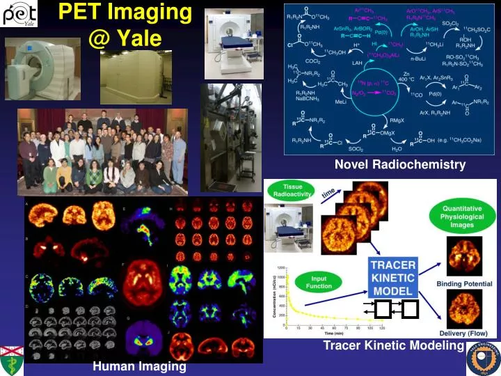 PPT - PET Imaging @ Yale PowerPoint Presentation, free download - ID ...