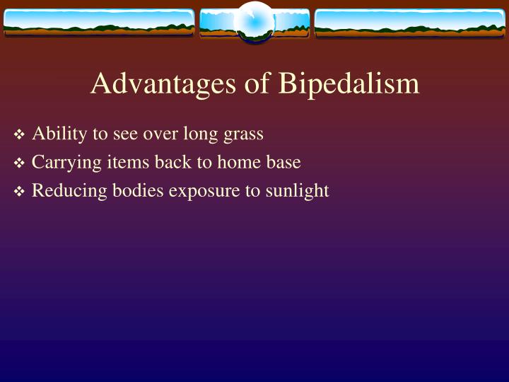 advantages of bipedalism