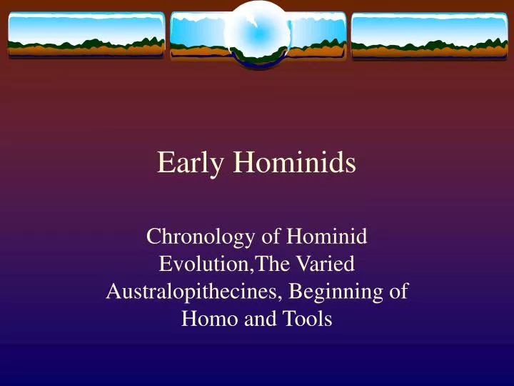 early hominids n.