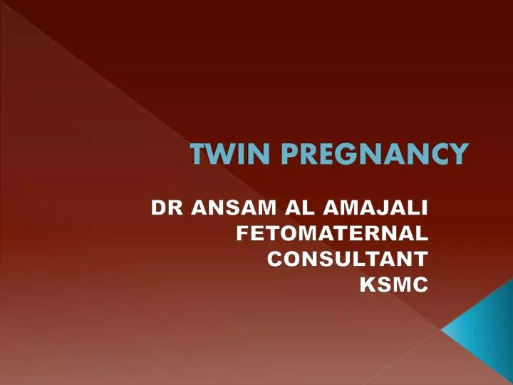 twin pregnancy n.