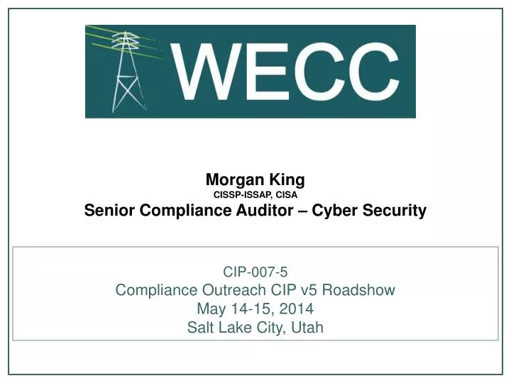 morgan king cissp issap cisa senior compliance auditor cyber security n.