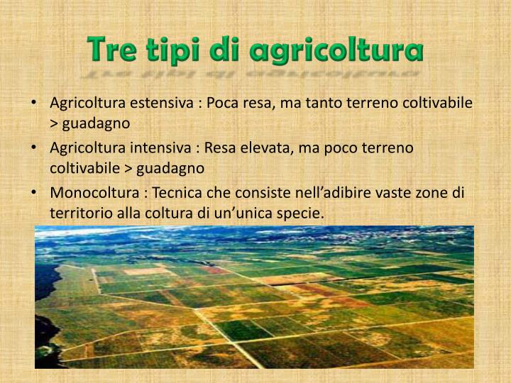 PPT - L'AGRICOLTURA OGGI PowerPoint Presentation - ID:5749359