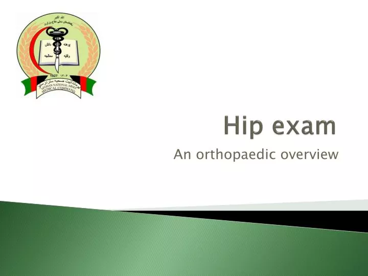 essay in english on holiday ziyadh